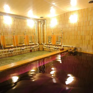 ** Hotel Marutani Japan